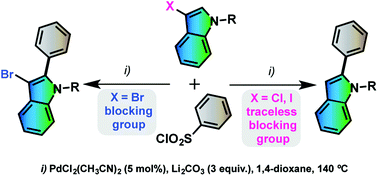 Graphical abstract: Palladium-catalyzed direct desulfitative C2 arylations of 3-halo-N-protected indoles using (hetero)arenesulfonyl chlorides