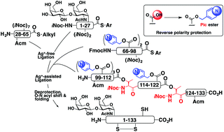 Graphical abstract: A strategy for the synthesis of hydrophobic proteins and glycoproteins