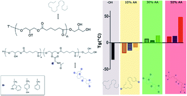 Graphical abstract: New N-acyl amino acid-functionalized biodegradable polyesters for pharmaceutical and biomedical applications