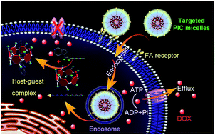 Graphical abstract: Cationic pillar[6]arene/ATP host–guest recognition: selectivity, inhibition of ATP hydrolysis, and application in multidrug resistance treatment