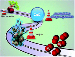 Graphical abstract: Hydrogen evolution with nanoengineered ZnO interfaces decorated using a beetroot extract and a hydrogenase mimic