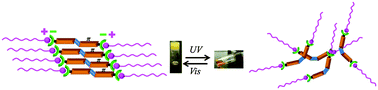 Graphical abstract: A light responsive two-component supramolecular hydrogel: a sensitive platform for the fabrication of humidity sensors