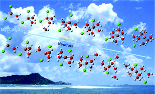 Graphical abstract: Initial hydration processes of magnesium chloride: size-selected anion photoelectron spectroscopy and ab initio calculations