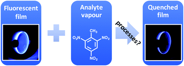 Graphical abstract: Real-time fluorescence quenching-based detection of nitro-containing explosive vapours: what are the key processes?