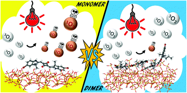 Graphical abstract: Mesoporous silica nanoparticles incorporating squaraine-based photosensitizers: a combined experimental and computational approach