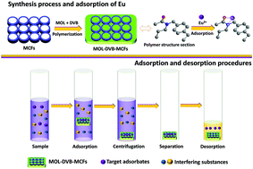 Graphical abstract: Preparation of a mesocellular siliceous foam supported lanthanide-sensitive polymer for the selective adsorption of lanthanides