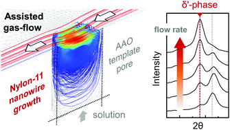 Graphical abstract: A triboelectric generator based on self-poled Nylon-11 nanowires fabricated by gas-flow assisted template wetting