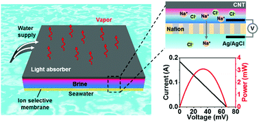 Graphical abstract: Solar-driven simultaneous steam production and electricity generation from salinity