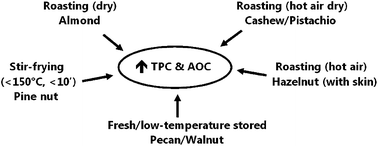 Graphical abstract: Anti-aging potential of tree nuts with a focus on the phytochemical composition, molecular mechanisms and thermal stability of major bioactive compounds