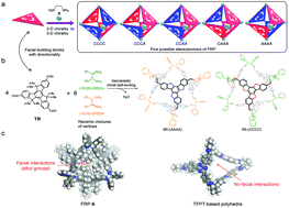 Graphical abstract: Narcissistic chiral self-sorting of molecular face-rotating polyhedra