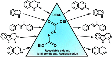 Graphical abstract: Development of a metal-free amine oxidation method utilizing DEAD chemistry