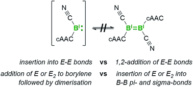 Graphical abstract: Closely related yet different: a borylene and its dimer are non-interconvertible but connected through reactivity