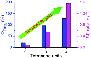 Graphical abstract: Singlet exciton fission in a linear tetracene tetramer