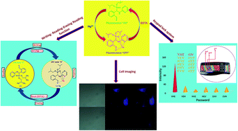 Graphical abstract: An efficient “Ratiometric” fluorescent chemosensor for the selective detection of Hg2+ ions based on phosphonates: its live cell imaging and molecular keypad lock applications