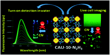 Graphical abstract: Fluorogenic naked-eye sensing and live-cell imaging of cyanide by a hydrazine-functionalized CAU-10 metal–organic framework