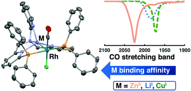 Graphical abstract: Synthesis and properties of heterobimetallic rhodium complexes featuring LiI, CuI or ZnII as a Lewis acidic metalloligand