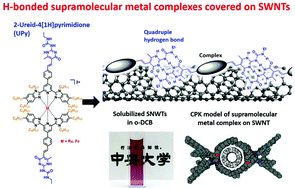 Graphical abstract: Hydrogen-bonded metallo-supramolecular polymers based on ruthenium or iron complexes for the selective extraction of single-walled carbon nanotubes