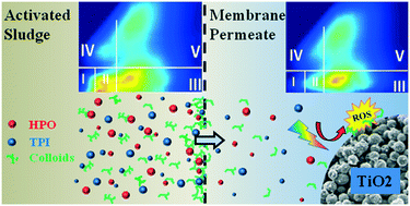 Graphical abstract: Emerging investigator series: photocatalysis for MBR effluent post-treatment: assessing the effects of effluent organic matter characteristics