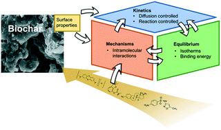 Graphical abstract: Adsorption of organic micropollutants onto biochar: a review of relevant kinetics, mechanisms and equilibrium