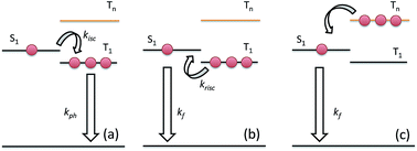 Graphical abstract: Understanding the potential for efficient triplet harvesting with hot excitons