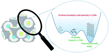 Graphical abstract: Supramolecular chirality and crystallization from biocatalytic self-assembly in lipidic cubic mesophases