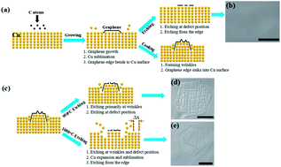 Graphical abstract: Influence of cooling-induced edge morphology evolution during chemical vapor deposition on H2 etching of graphene domains