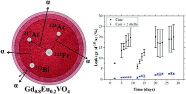 Graphical abstract: Multifunctional GdVO4:Eu core–shell nanoparticles containing 225Ac for targeted alpha therapy and molecular imaging