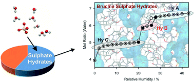 Graphical abstract: Supramolecular organisation of sulphate salt hydrates exemplified with brucine sulphate