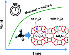 Graphical abstract: Kinetic study and effect of water on methane oxidation to methanol over copper-exchanged mordenite