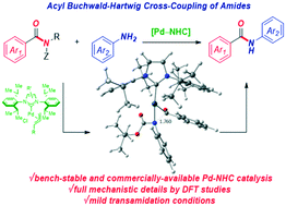 Graphical abstract: Buchwald–Hartwig cross-coupling of amides (transamidation) by selective N–C(O) cleavage mediated by air- and moisture-stable [Pd(NHC)(allyl)Cl] precatalysts: catalyst evaluation and mechanism