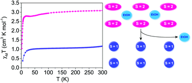 Graphical abstract: Spin state solvomorphism in a series of rare S = 1 manganese(iii) complexes