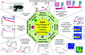 Graphical abstract: A multi-objective optimization-based layer-by-layer blade-coating approach for organic solar cells: rational control of vertical stratification for high performance