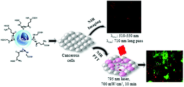 Graphical abstract: Ag2S-Glutathione quantum dots for NIR image guided photothermal therapy