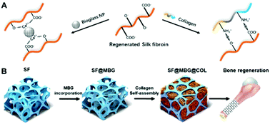 Graphical abstract: Outer–inner dual reinforced micro/nano hierarchical scaffolds for promoting osteogenesis