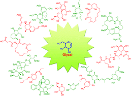 Graphical abstract: Versatility of glycals in synthetic organic chemistry: coupling reactions, diversity oriented synthesis and natural product synthesis