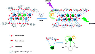 Graphical abstract: Tb(iii)-doped nanosheets as a fluorescent probe for the detection of dipicolinic acid