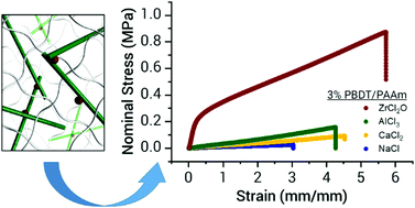 Graphical abstract: Double network hydrogels based on semi-rigid polyelectrolyte physical networks