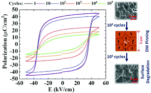 Graphical abstract: Electrical fatigue behavior of NBT-BT-xKNN ferroelectrics: effect of ferroelectric phase transformations and oxygen vacancies