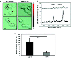 Graphical abstract: Characterisation of estrogen receptor alpha (ERα) expression in breast cancer cells and effect of drug treatment using targeted nanoparticles and SERS