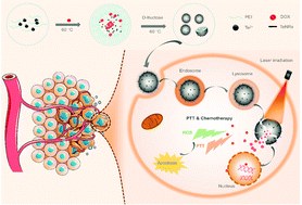 Graphical abstract: Near-infrared laser-triggered drug release in a tellurium nanosystem for simultaneous chemo-photothermal cancer therapy