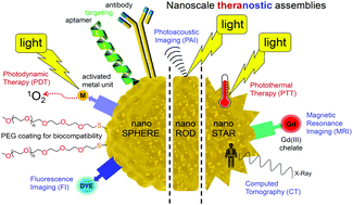 Graphical abstract: Gold nanomaterials functionalised with gadolinium chelates and their application in multimodal imaging and therapy