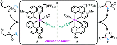 Graphical abstract: Asymmetric catalysis with a chiral-at-osmium complex