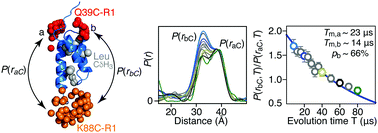 Graphical abstract: T m filtering by 1H-methyl labeling in a deuterated protein for pulsed double electron–electron resonance EPR