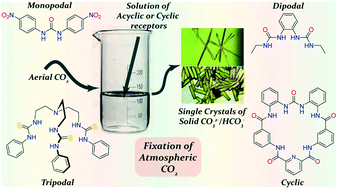 Graphical abstract: An overview of CO32−/HCO3− binding by aerial CO2 fixation within the self-assemblies of hydrogen-bond donor scaffolds