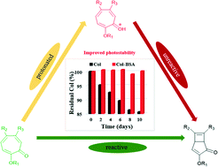 Graphical abstract: Stabilizing photo-sensitive colchicine through rebalancing electron distribution of the reactive tropolone ring