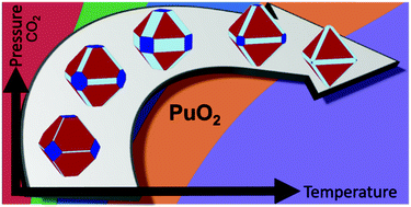 Graphical abstract: The energetics of carbonated PuO2 surfaces affects nanoparticle morphology: a DFT+U study