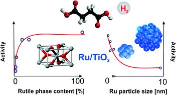 Graphical abstract: TiO2 supported Ru catalysts for the hydrogenation of succinic acid: influence of the support