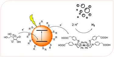 Graphical abstract: The role of the capping agent and nanocrystal size in photoinduced hydrogen evolution using CdTe/CdS quantum dot sensitizers