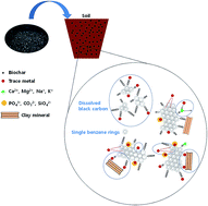 Graphical abstract: Effects of aging and weathering on immobilization of trace metals/metalloids in soils amended with biochar