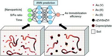 Graphical abstract: Emerging investigator series: immobilization of arsenic in soil by nanoscale zerovalent iron: role of sulfidation and application of machine learning